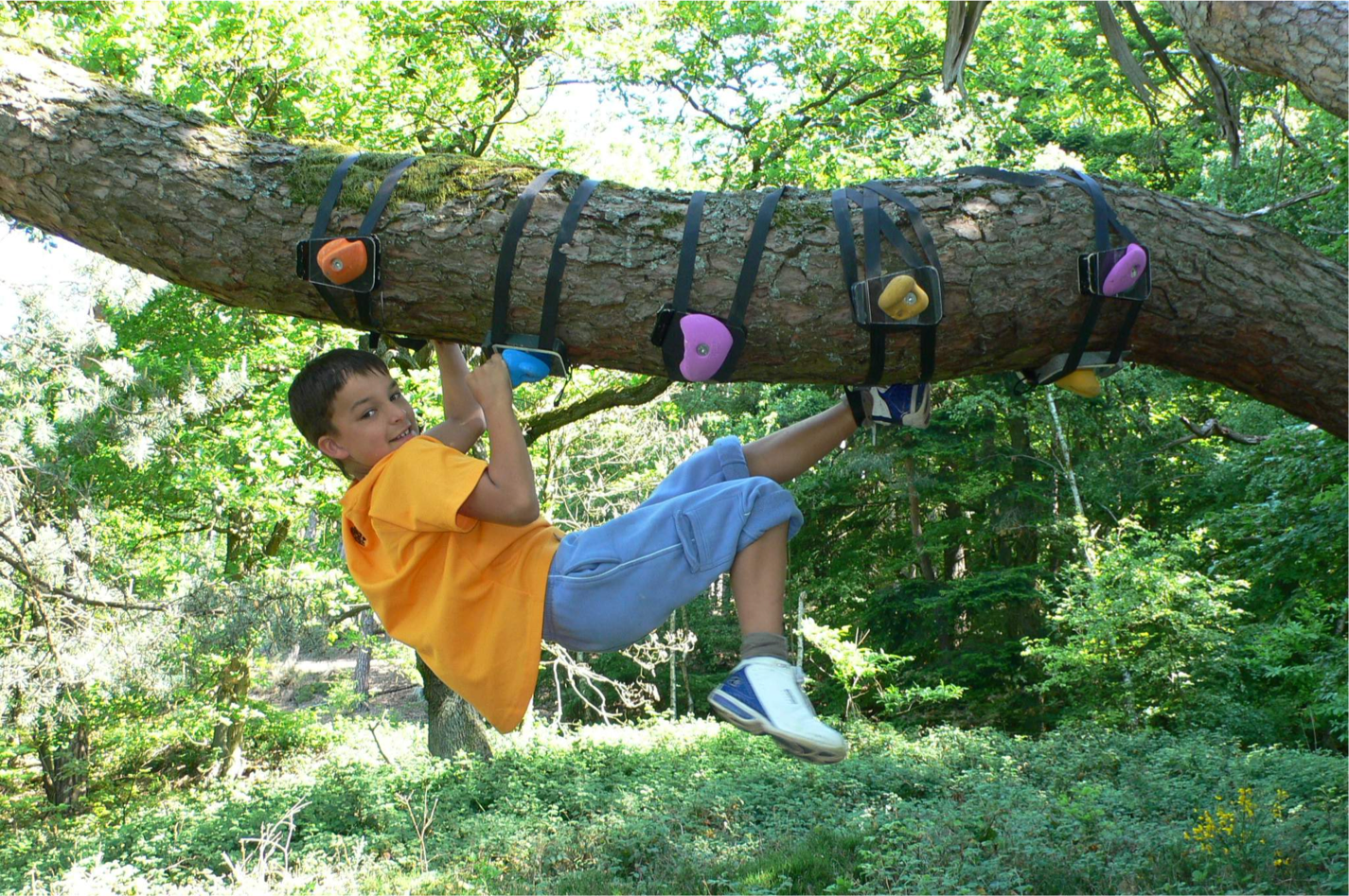 Exploring the Thrill: Monkey Hardware in Trees for Kids' Climbing Adventures