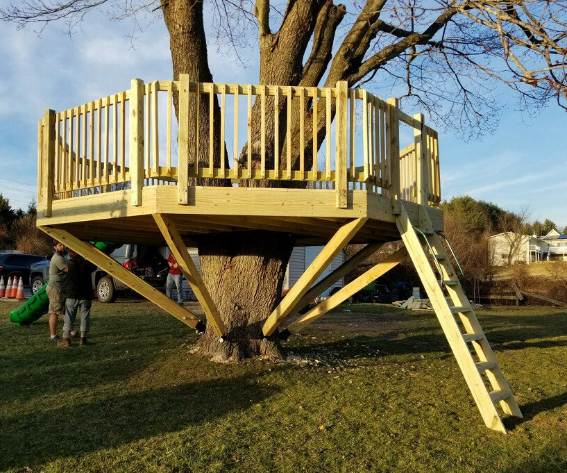 Treehouse Safety for Kids
