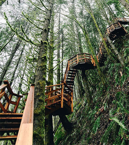 way going to the treehouse