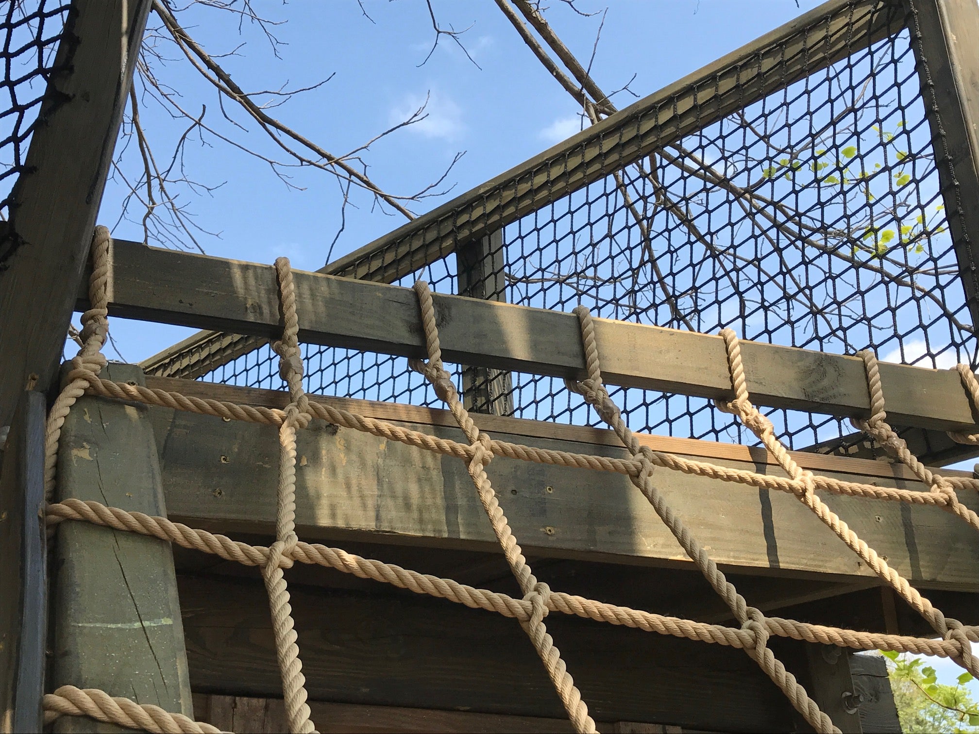 Treehouse & Hammock Netting