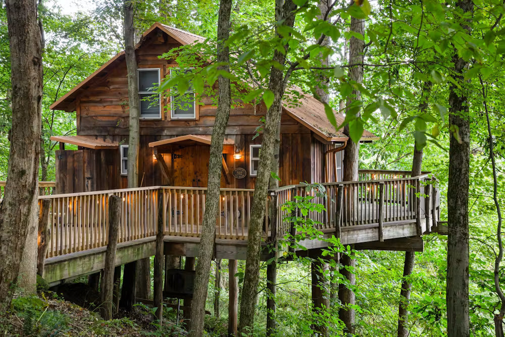 Extending the Life of a Legacy Treehouse with Modern Treehouse Supplies Hardware