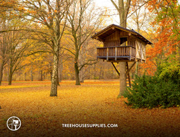 How Much Does a Treehouse Cost? Treehouse Supplies