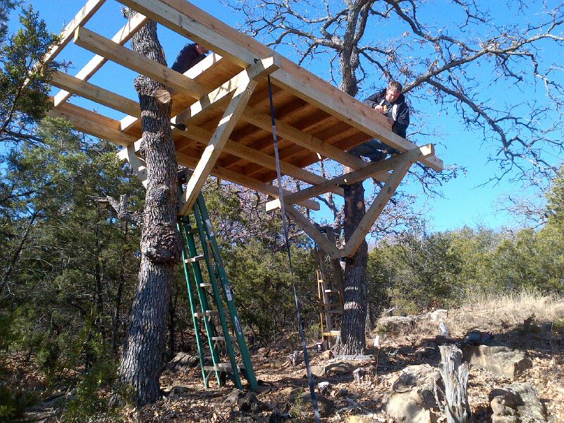The DOs and DON'Ts of Building a Treehouse