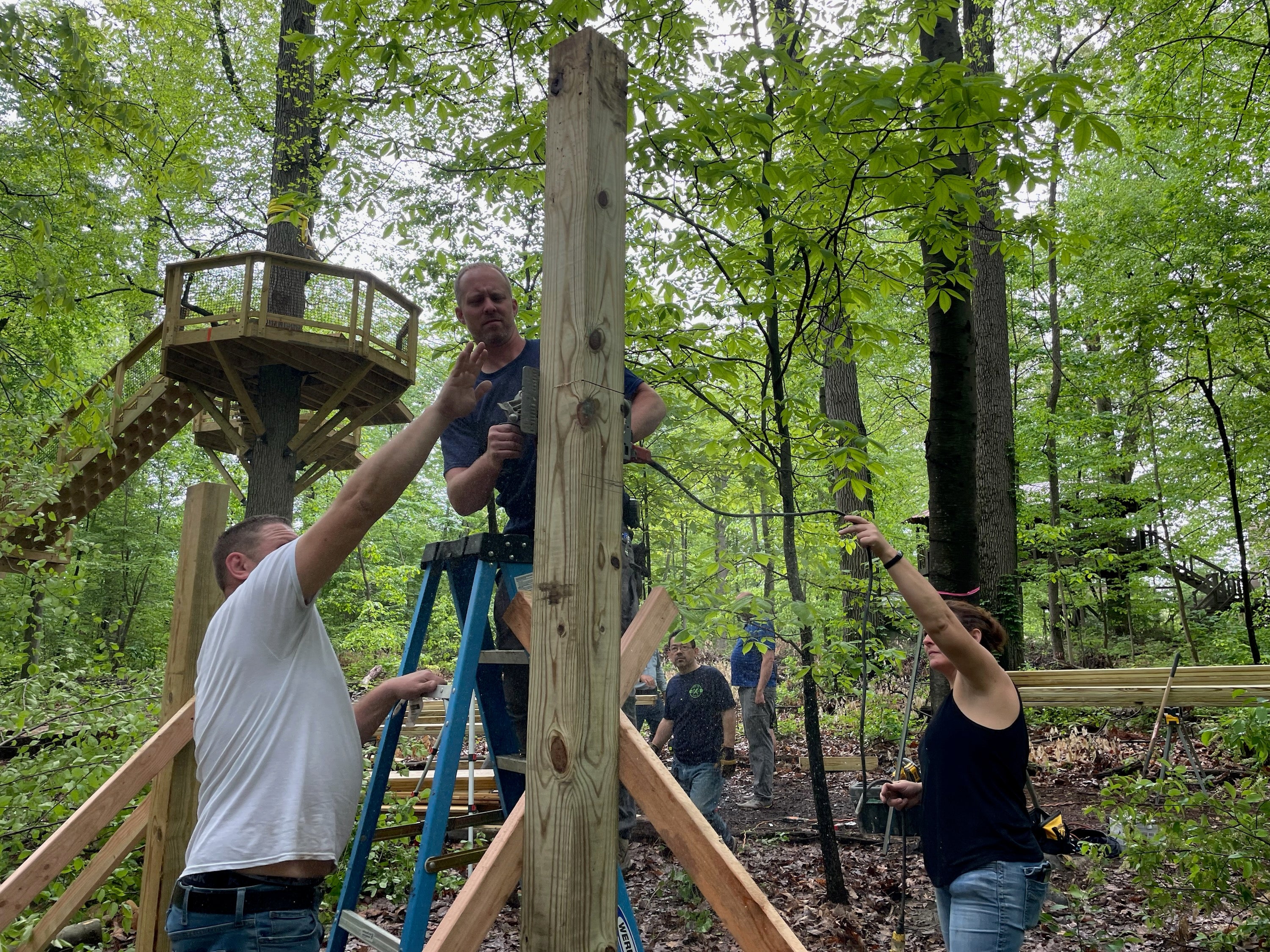 Things to Know Before Building a Treehouse in Your Backyard