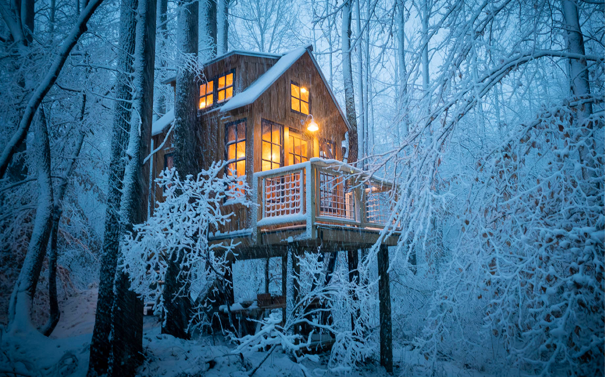 Treehouse December Embrace the Chill: A Comprehensive Guide to Winter-Proofing Your Treeh ...