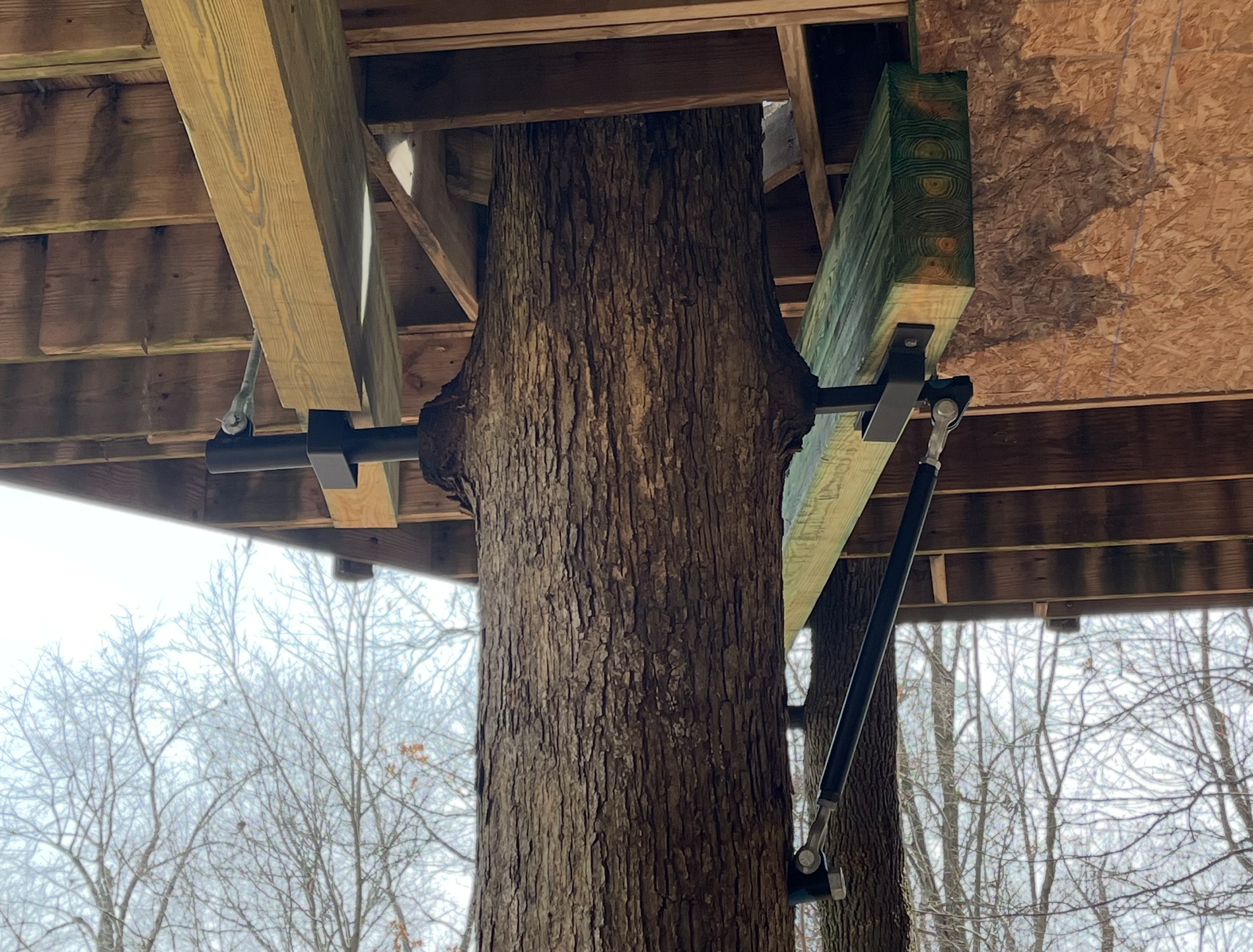 Treehouse Integrated Support System™ (TISS™) – Treehouse Supplies