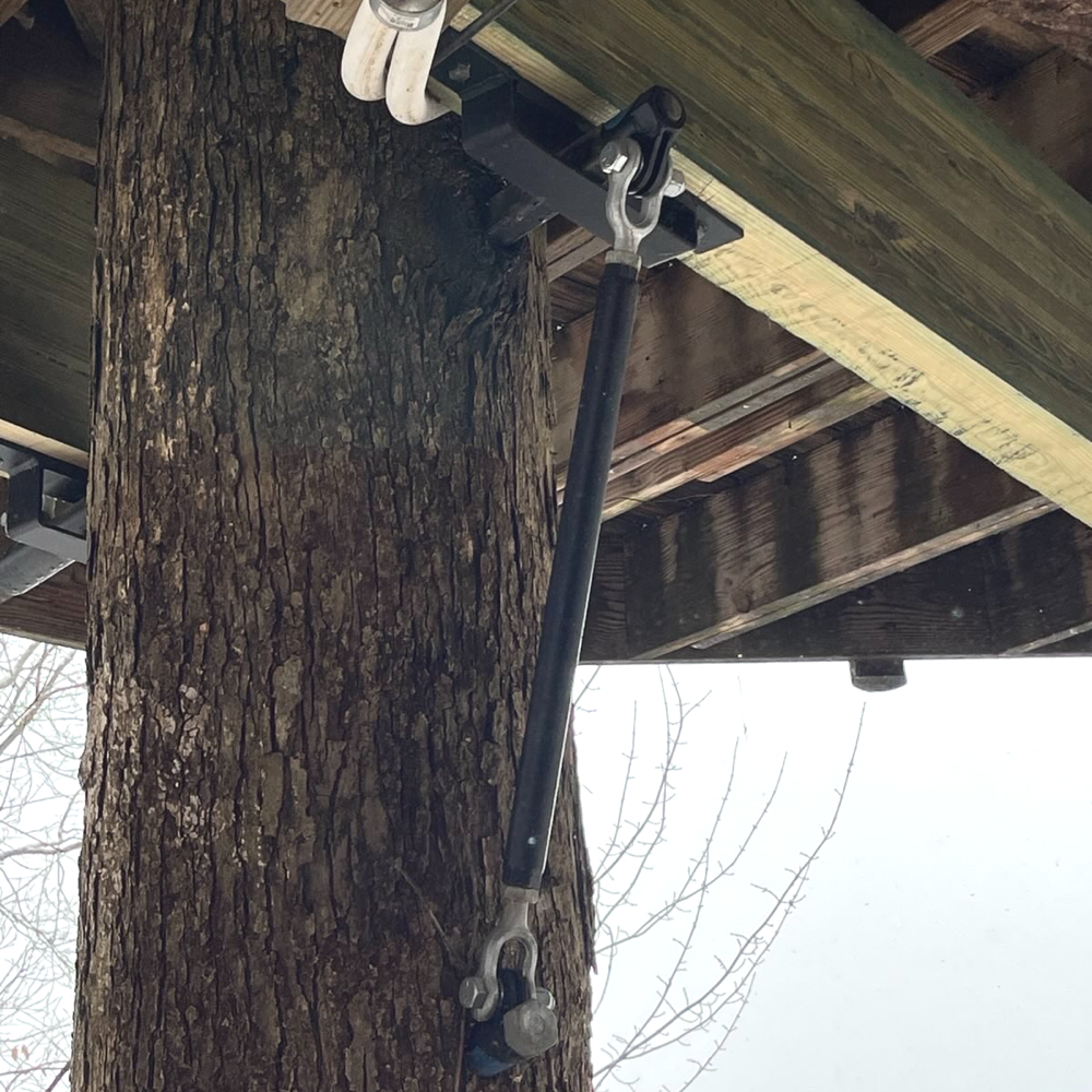 TISS™ Strut Kit (SD) - Treehouse Integrated Support System™