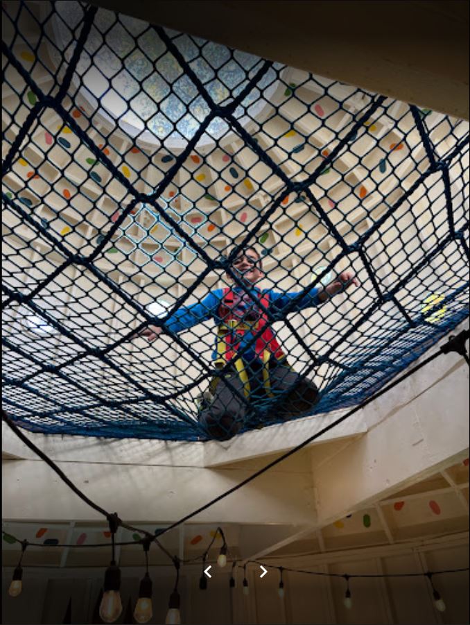 The Best Netting for Hammocks and Lofts – Treehouse Supplies