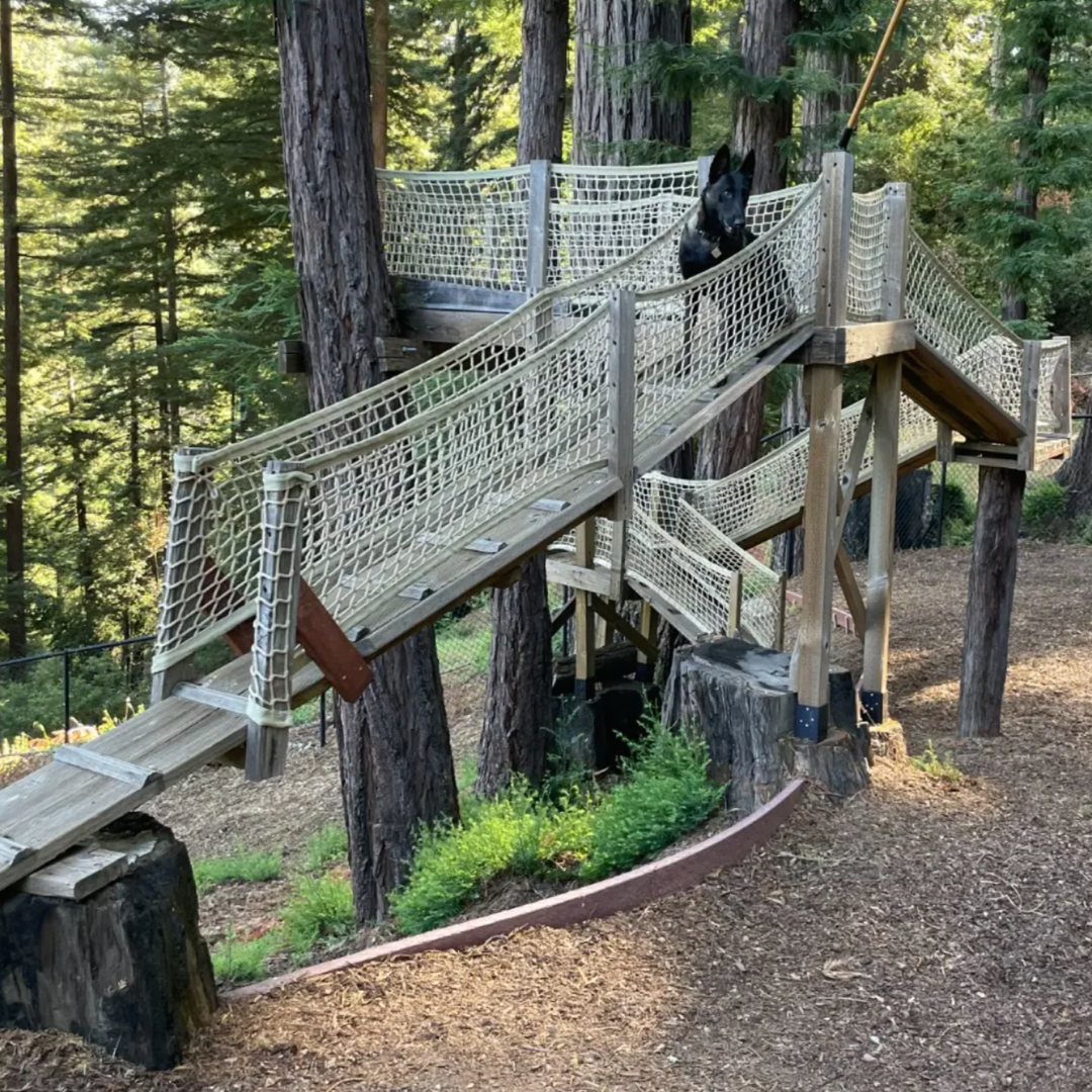 Safety Netting - SINGLE LAYER NET - SAND - NO DEBRIS LINER – Treehouse ...