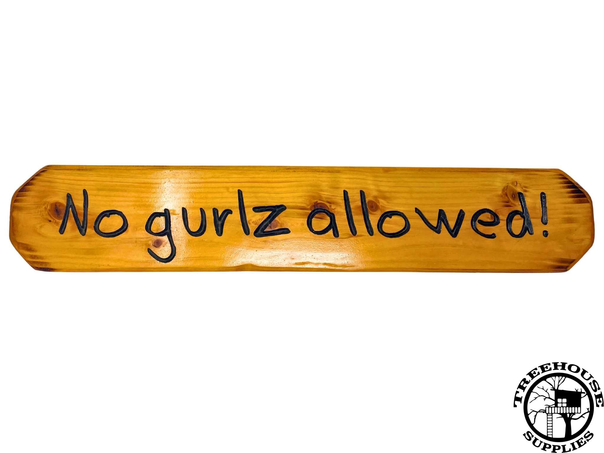 Two-foot-long wooden sign with lettering. Engraved or carved text states No Gurls Allowed! White Background. 